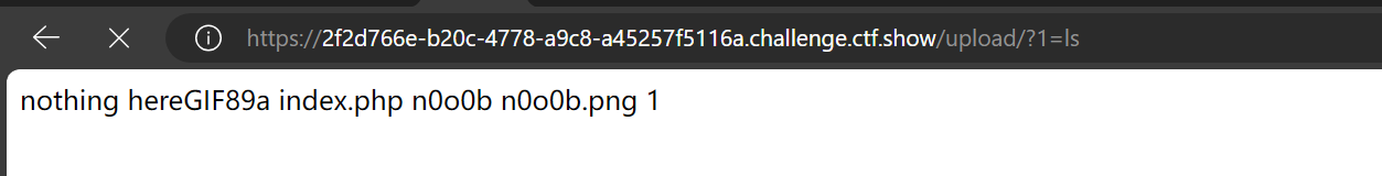 image-20241112230205226