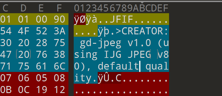 image-20241113160641444