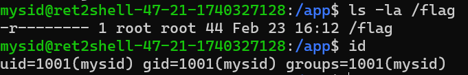 image-20250224003048007