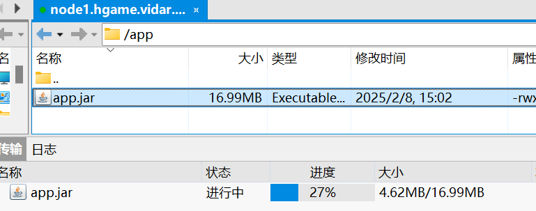 image-20250224005051362