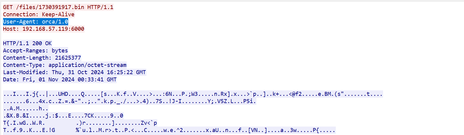 image-20250321024502062