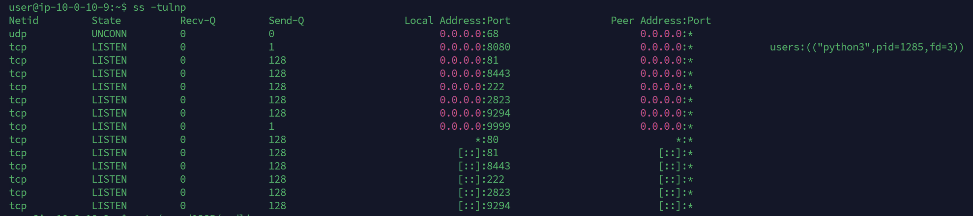 image-20250327210521149