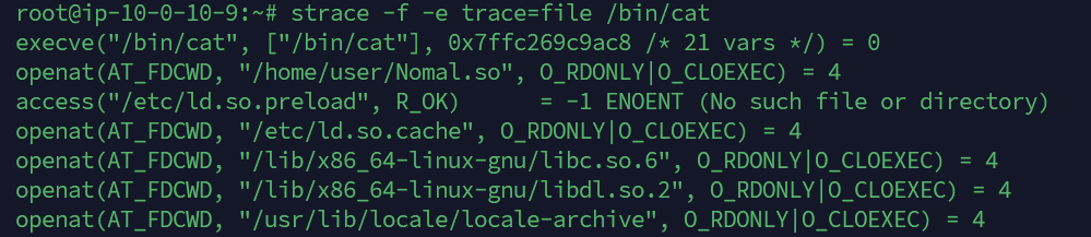 image-20250327224115518