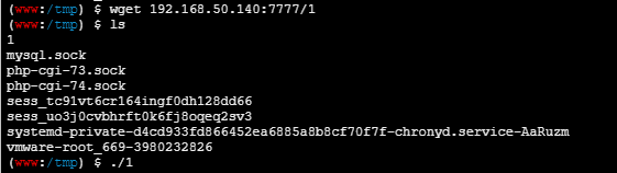 image-20250415165759025